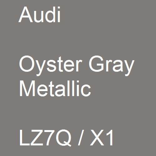 Audi, Oyster Gray Metallic, LZ7Q / X1.